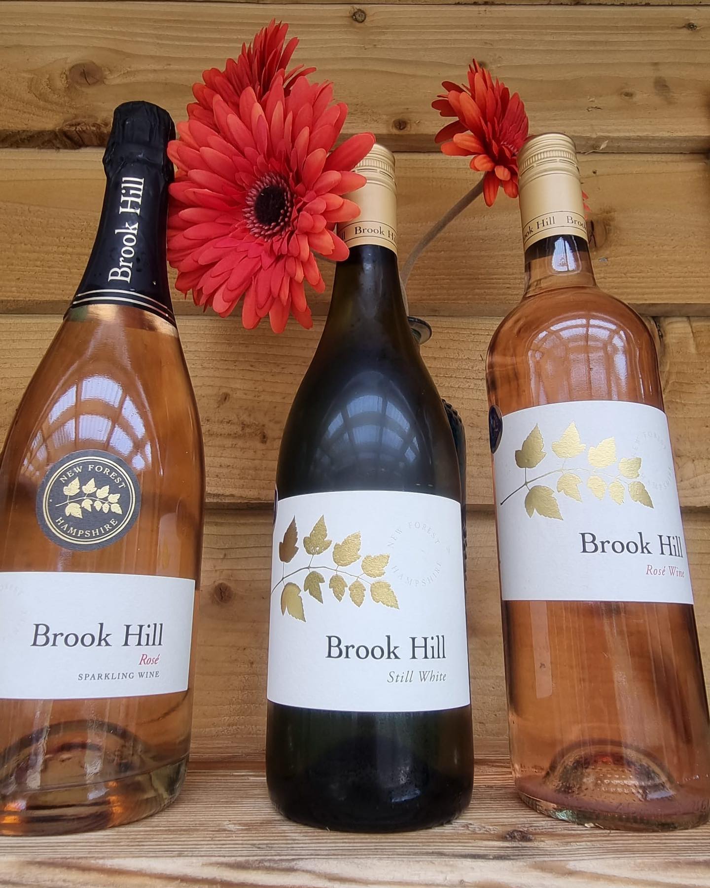 #suppliershoutout

We are very excited to be stocking Brook Hill wines based in Bramshaw.

Brook Hill is a family-run vineyard in the heart of the New Forest. The grapes are hand-picked, crushed and fermented in their own winery to make a range of award-winning still and sparkling wines.

#Brookhillvineyard #localwine #headlandsfarmcoffeeshop #coffeeshopinwellow #whatsonromsey #sparklingwine #whitewine #handpicked