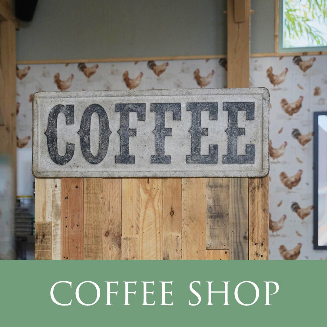 Coffee Shop